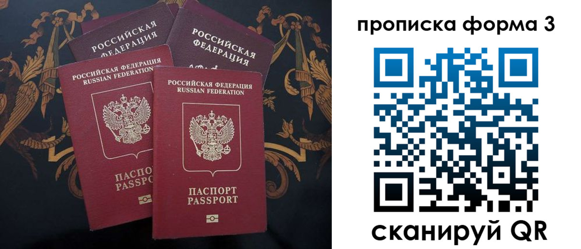 прописка законно в Камызяке